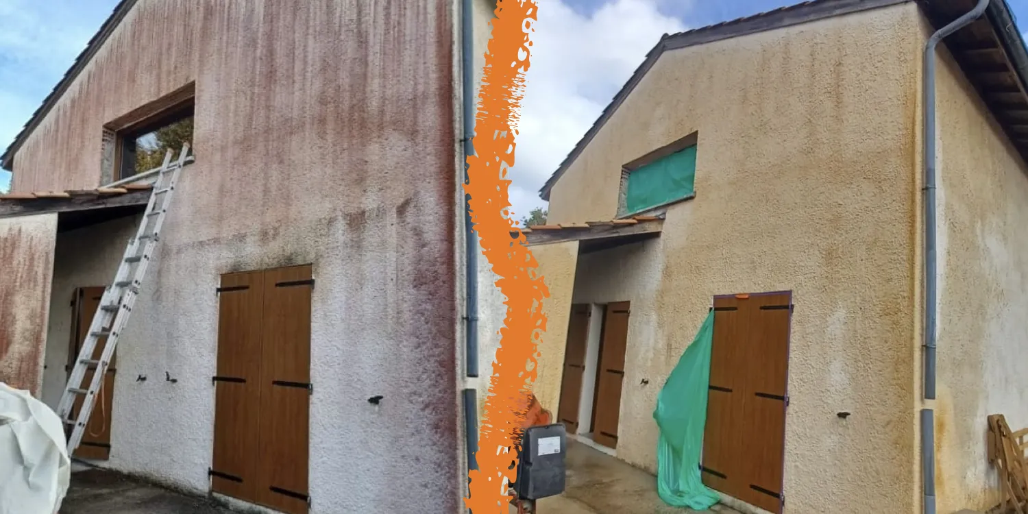 Cette image décomposée en deux parties montre la même façade avant et après le traitement.